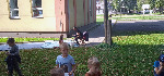 IMG-20231012-WA0028.jpg