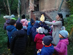 IMG-20231113-WA0021.jpg