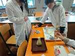 IMG_20250430_093203.jpg