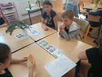 IMG_20250430_102241.jpg