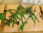 IMG_20250430_102311.jpg