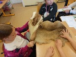 IMG_20250430_102317.jpg